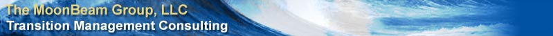 Transition Management Consulting