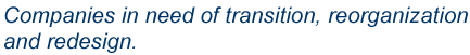 Companies in need of transition, reorganization and redesign.